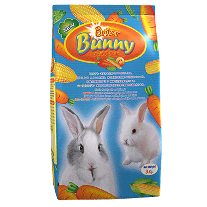 Briter Bunny - Carrot