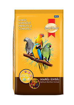 SmartHeart Parrots & Conures