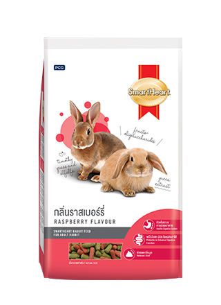 SmartHeart - Raspberry